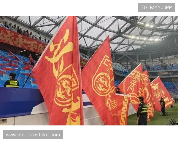 球迷称乍得新体育场为“足球梦想之家”，期待推动本国足球进步